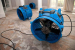 CARPET REMOVAL,HOARDER HOARING CLEANING SERVICE, SEWAGE BACKUP CLEAN