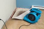 CARPET REMOVAL,HOARDER HOARING CLEANING SERVICE, SEWAGE BACKUP CLEAN