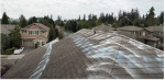 College Kids Roof & Gutter Cleaning