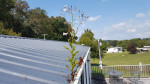 Gutter Cleaning