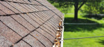 Gutter Cleaning