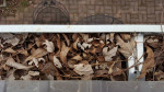 Gutter Cleaning