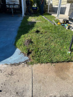 General Labor Concrete Landscape Window Cleaning Etc
