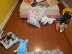 Campos cleaning service