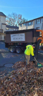 Landscaping,Lawn care, Spring Clean ups Gutter cleaning,Power washing