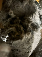 ****,,DRYER VENT, GUTTER CLEANING**** CALL NOW!!!!!!!!!!!!!!!!**