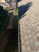Window & Gutter Cleaning (Reliable, friendly, local, and here for you!