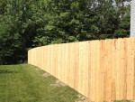 CUT TREE BRANCHES & FALL / SPRING CLEANING & FENCE