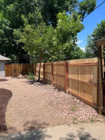 CUT TREE BRANCHES & FALL / SPRING CLEANING & FENCE