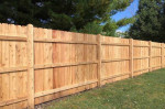 CUT TREE BRANCHES & FALL / SPRING CLEANING & FENCE