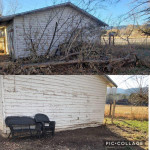 CUT TREE BRANCHES & FALL / SPRING CLEANING & FENCE