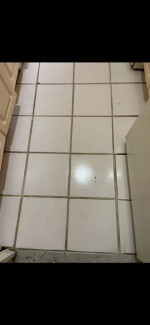 Carpet, Upholstery & Tile Cleaning