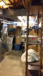 Need help cleaning out / organizing your basement?