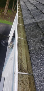 Gutters & Windows Cleaning - Interior Painting Services!