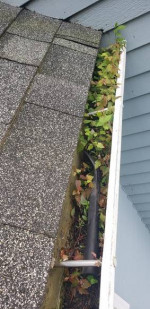 Gutters & Windows Cleaning - Interior Painting Services!