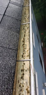 Gutters & Windows Cleaning - Interior Painting Services!