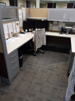 Paradise Janitorial Solutions Cleaning Service