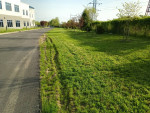 A&G landscaping 215-303-8133 spring yard cleaning,rake, mowing,mulch,ect