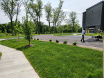 A&G landscaping 215-303-8133 spring yard cleaning,rake, mowing,mulch,ect