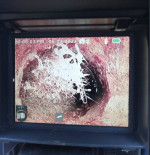 Affordable 99$ Expert Drain Cleaning + FREE Sewer Camera Inspection!