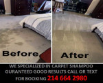 DEEP CLEANING PAINTING REMODELING JUNK CARPET REMOVAL CARPET SHAMPOO