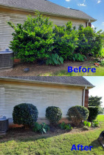 Lawn Service-Gutter Cleaning-Call Now For a Free Estimate.