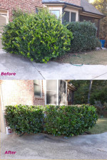 Lawn Service-Gutter Cleaning-Call Now For a Free Estimate.