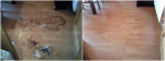house cleaning