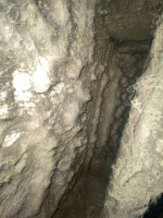 Air Duct Cleaning, Disinfecting, and Mold treatments special sale 200$