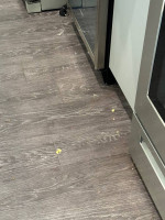 Cleaning service