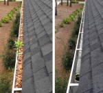 Gutter Cleaning,Painting,Landscaping,Roofing,Aeration,Seeding