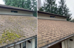 Gutter Cleaning,Painting,Landscaping,Roofing,Aeration,Seeding