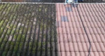 Gutter Cleaning,Painting,Landscaping,Roofing,Aeration,Seeding