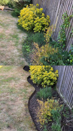 Gutter Cleaning,Painting,Landscaping,Roofing,Aeration,Seeding
