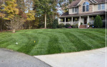 Grass Cutting,Aeration,Seeding,Painting,Gutter Cleaning,Landscaping