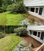 Aeration,Seeding,Gutter Cleaning,Grass Cutting,Roofing,Painting,Pressure Washing