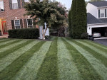 Aeration,Seeding,Gutter Cleaning,Grass Cutting,Roofing,Painting,Pressure Washing