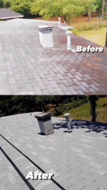 PRESSURE WASHING,PAINTING,ROOFING,GUTTER CLEANING,LANDSCAPING,WOOD ROT REPAIR