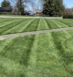 Lawn Mowing,Aeration,Seeding,Gutter Cleaning,Painting,Pressure Wash,Landscaping