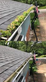 Lawn Mowing,Aeration,Seeding,Gutter Cleaning,Painting,Pressure Wash,Landscaping