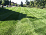 **Three brothers Lawn Care**-GUTTER CLEANING-SPRING CLEANUP-FLOWERBEDS