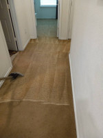 CARPET CLEANING 2 ROOMS & HALL 80.00 CALL ME TIL 9 PM!