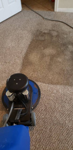 🌟REAL SHAMPOO & EXTRACTION🌟NO SHORTCUTS🌟NO GAMES*Carpet Cleaning