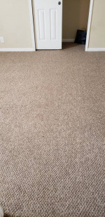 🌟REAL SHAMPOO & EXTRACTION🌟NO SHORTCUTS🌟NO GAMES*Carpet Cleaning