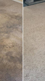 Professional Carpet Cleaning