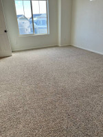 Carpet Cleaning