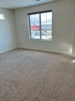 Carpet Cleaning
