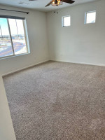 Carpet Cleaning
