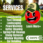 Spring Cleaning Lawn And Lamdscape FREE quote