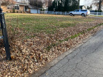 Spring Cleaning Lawn And Lamdscape FREE quote